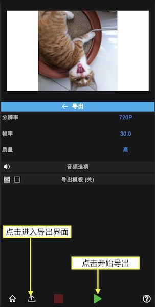 nv视频剪辑最新版