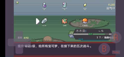 分步指南: 分步指南: