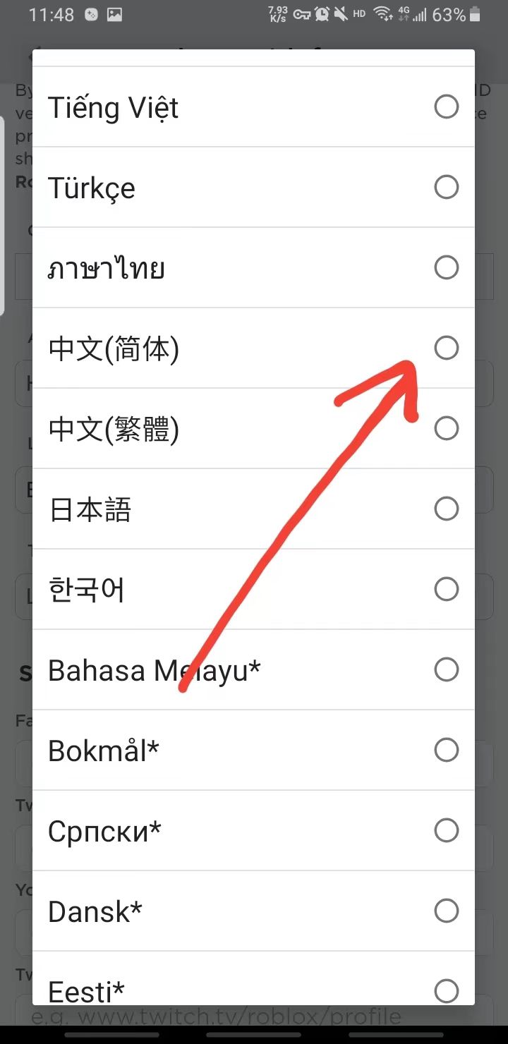 roblox国际版