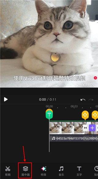 vivacut官方正版
